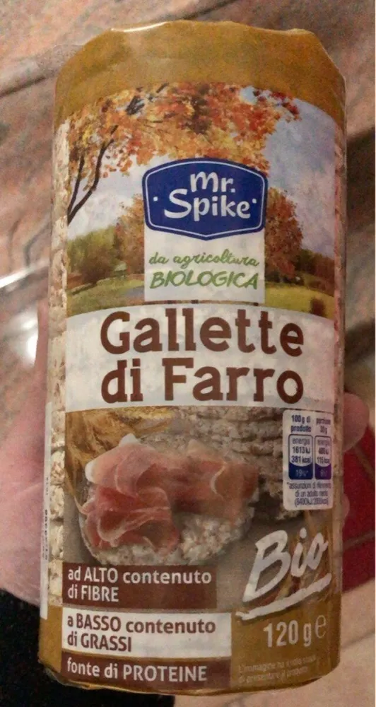 Gallette di farro