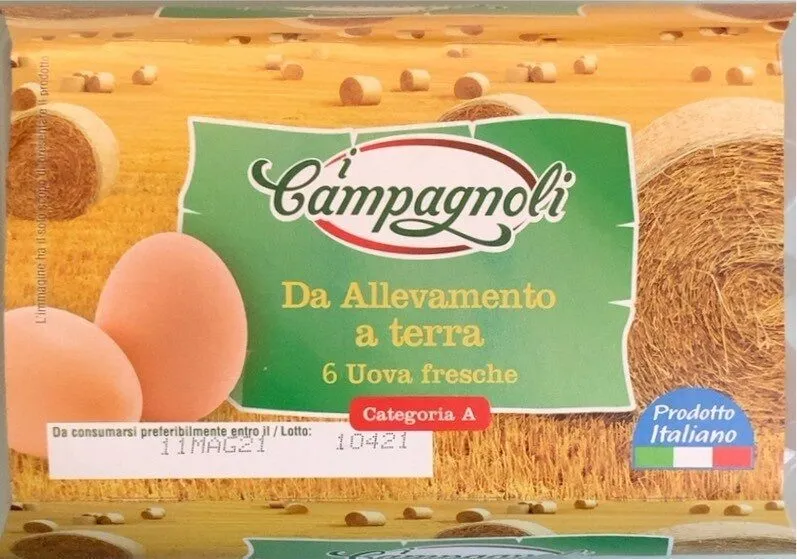Uova da allevamento a terra
