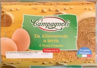 Uova da allevamento a terra