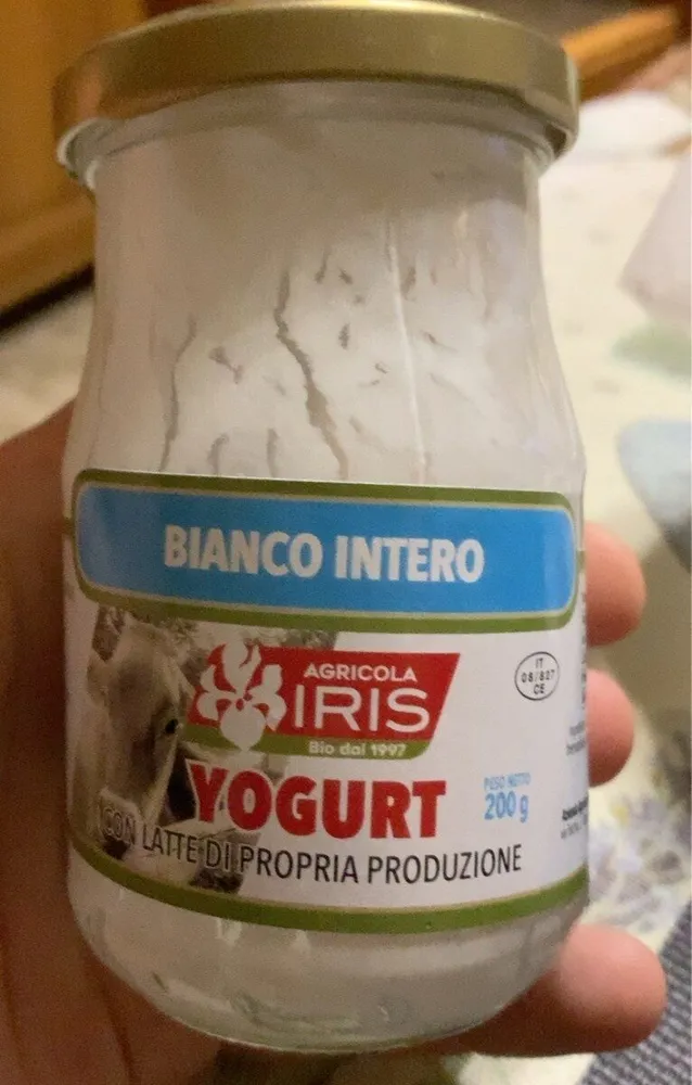Yogurt bianco intero