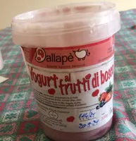 yogurt ai frutti di bosco