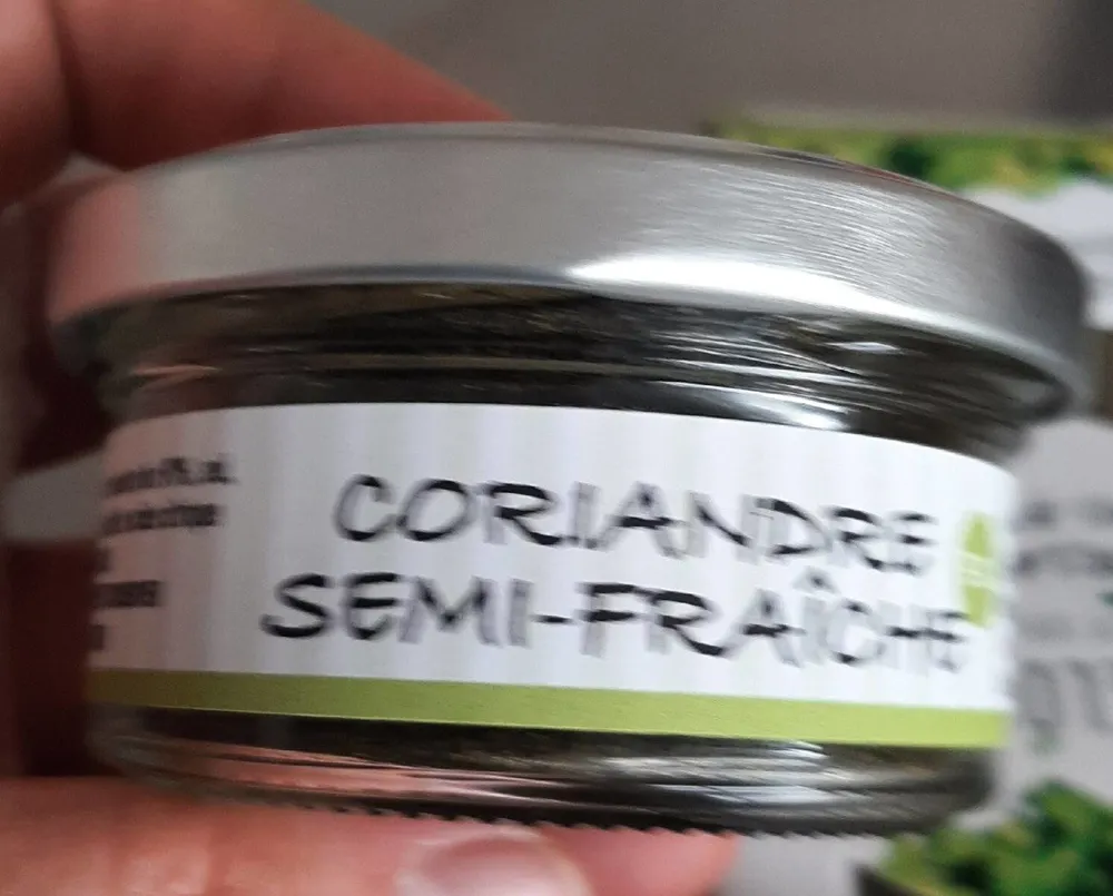 Coriandre semi fraiche