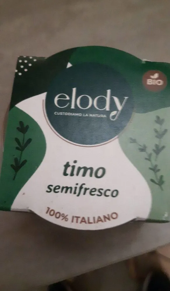 Timo semifresco