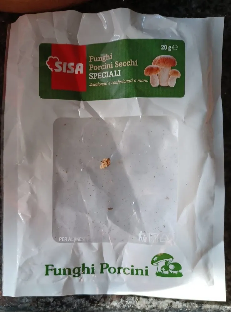 Funghi Porcini