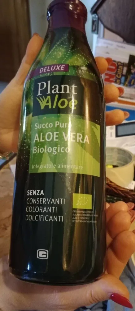 Aloe vera biologico