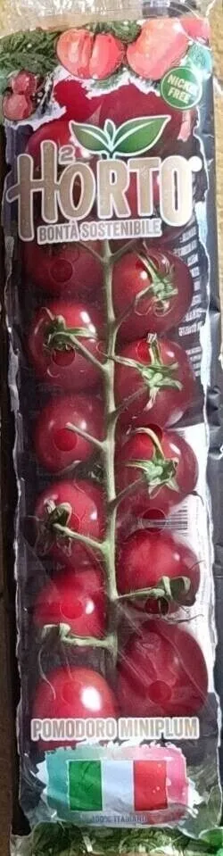 Pomodoro miniplum idroponico H2Orto