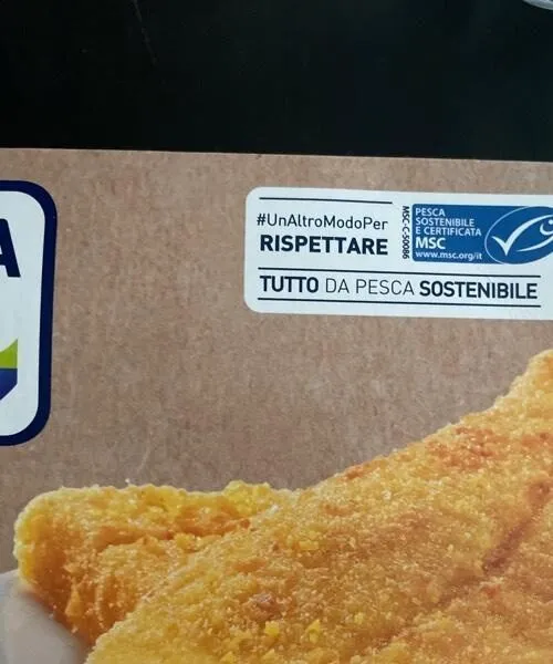 Filetti di platessa