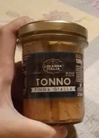 Tonno pinna gialla