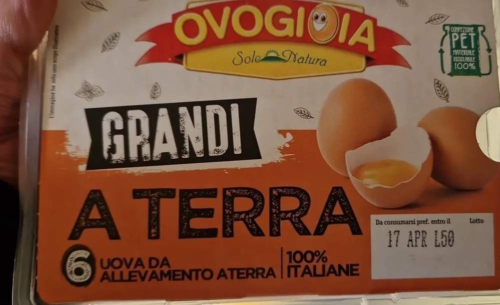 Conf 6 uova grandi allevate a terra