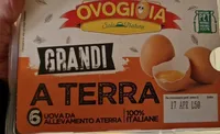 Conf 6 uova grandi allevate a terra