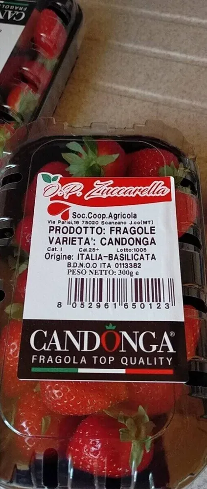 Fragole Candonga