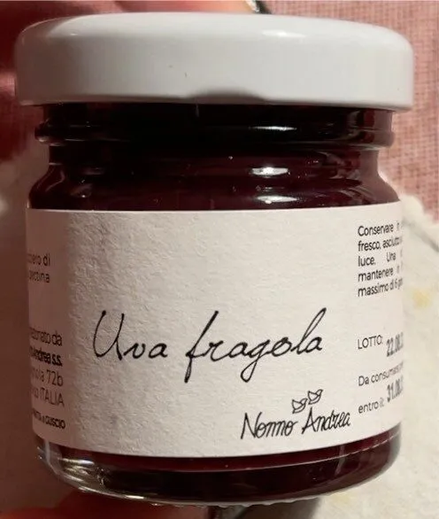 Uva fragola nonno andrea