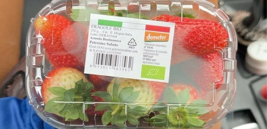 Fragole bio