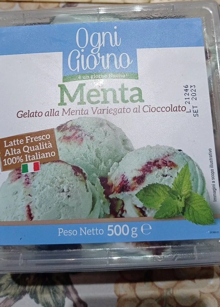Menta Gelato alla menta variegato al cioccolato
