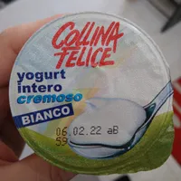 Yogurt intero cremoso