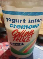 Yogurt intero cremoso