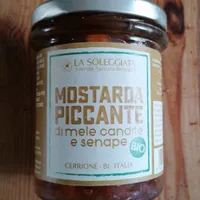Mostarda Piccante di mele candite e senape