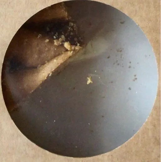 Crostata all’albicocca biologica vegana