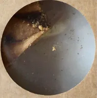Crostata all’albicocca biologica vegana
