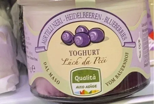 Yoghurt di mirtilli neri