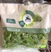 Rucola