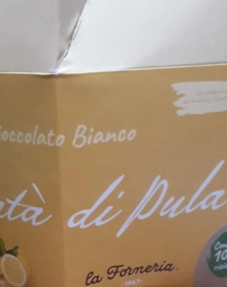 Panettone cioccolato buanco