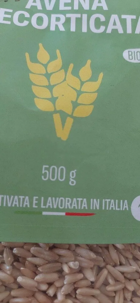 Avena decorticata