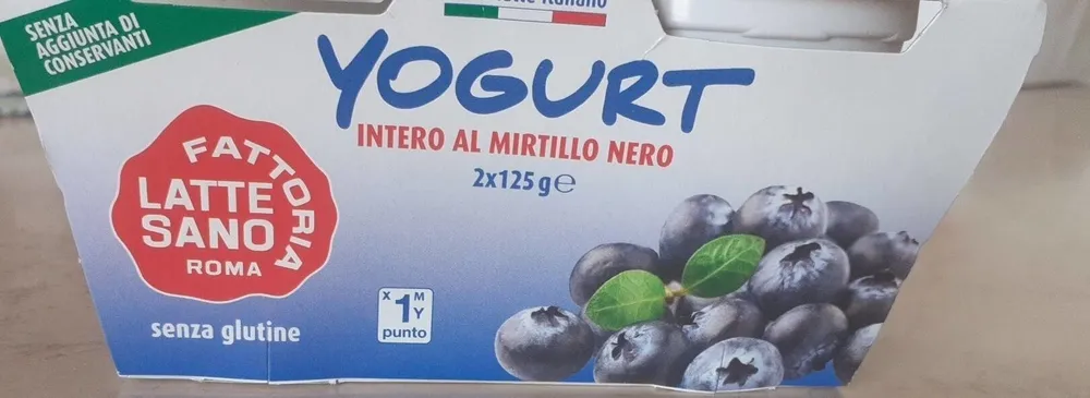 Yogurt al mirtillo intero