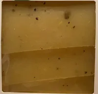 Fruttilette mela e tartufo