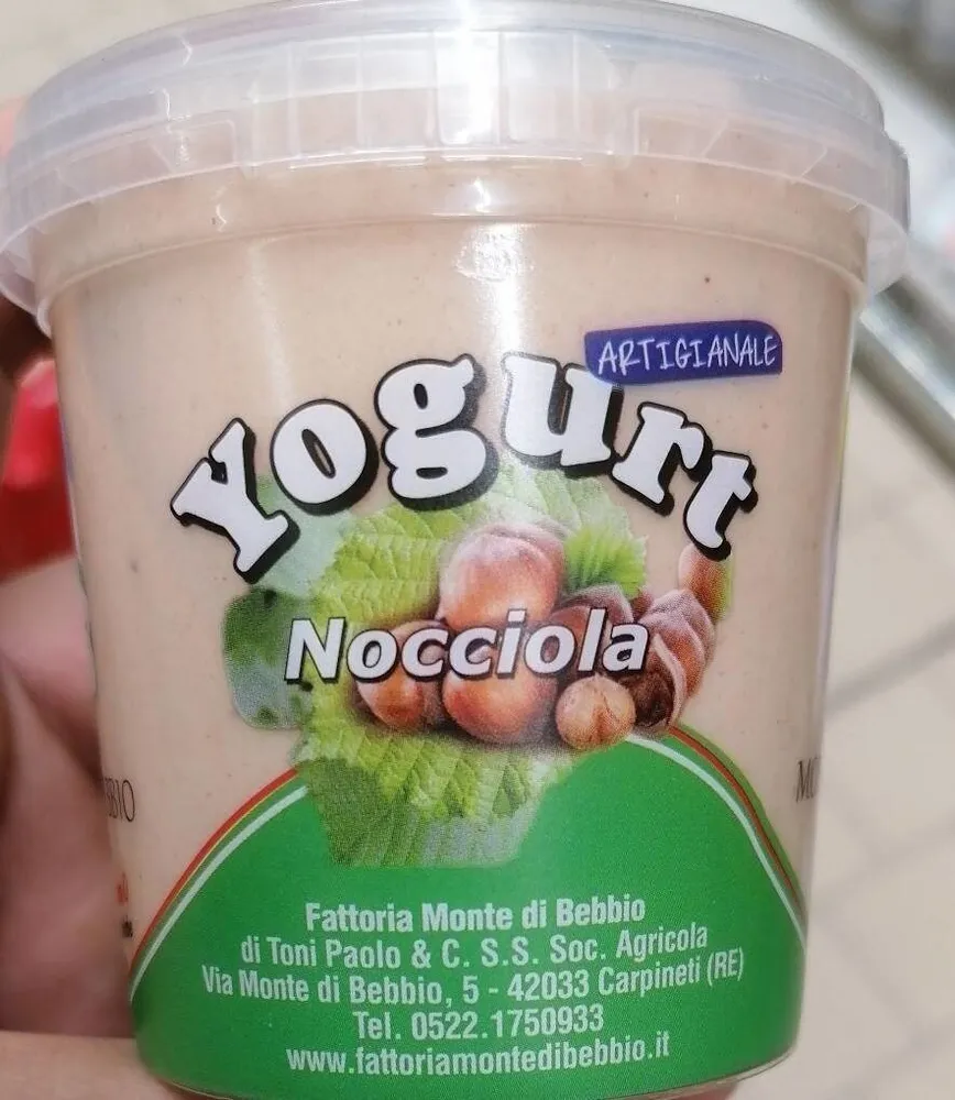 Yogurt artigianale