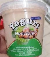Yogurt artigianale