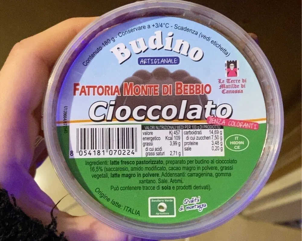 Budino
