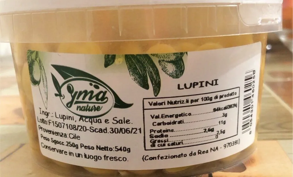 Lupini