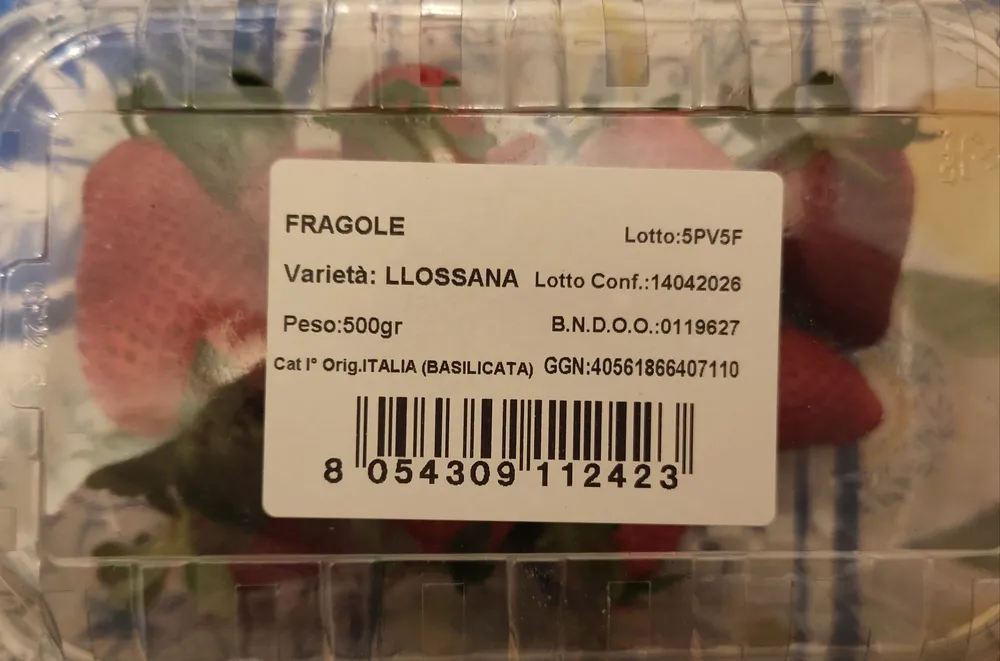 Fragole llossana