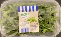 Rucola