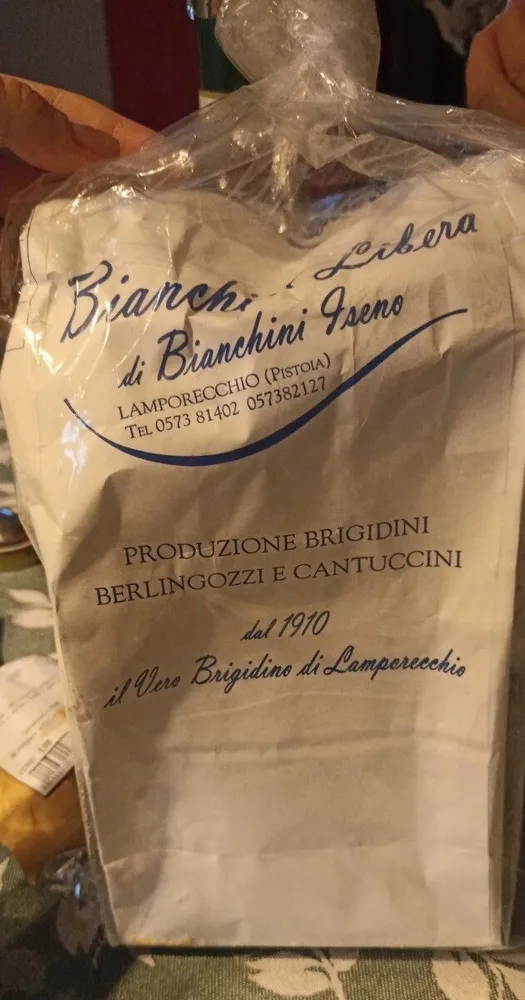 Brigidini