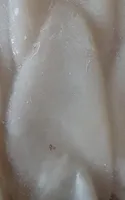 Calamari puliti