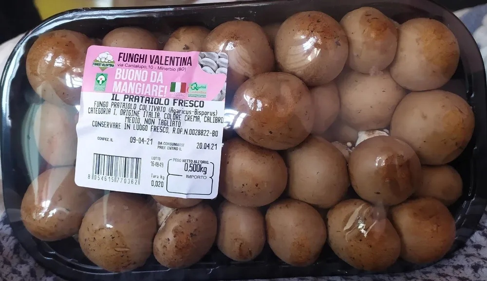 Funghi cremini