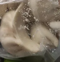 Ravioli di carne cinesi