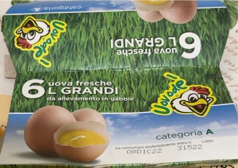 6 uova fresche L GRANDI da allevamento in gabbie