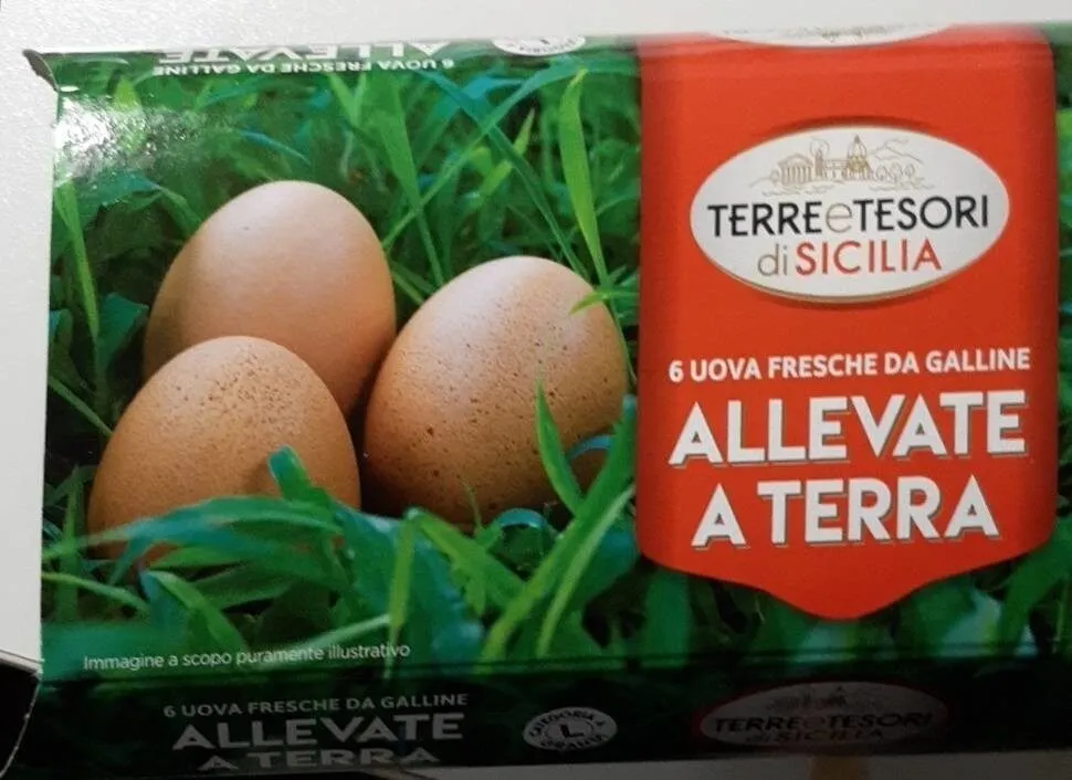 6 uova fresche da galline allevate a terra