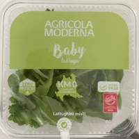 Baby lattuga