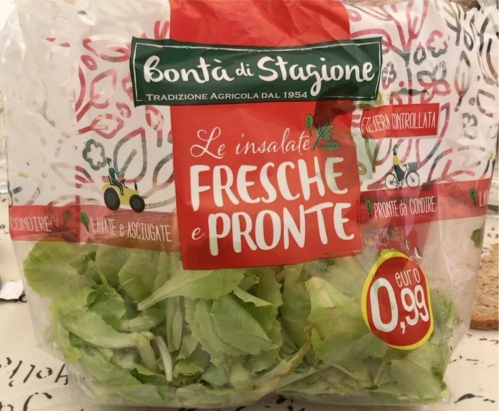 Insalata lattughino
