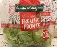 Insalata lattughino