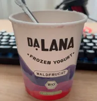 Frozen Yogurt Waldfrucht