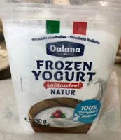 Frozen Yogurt