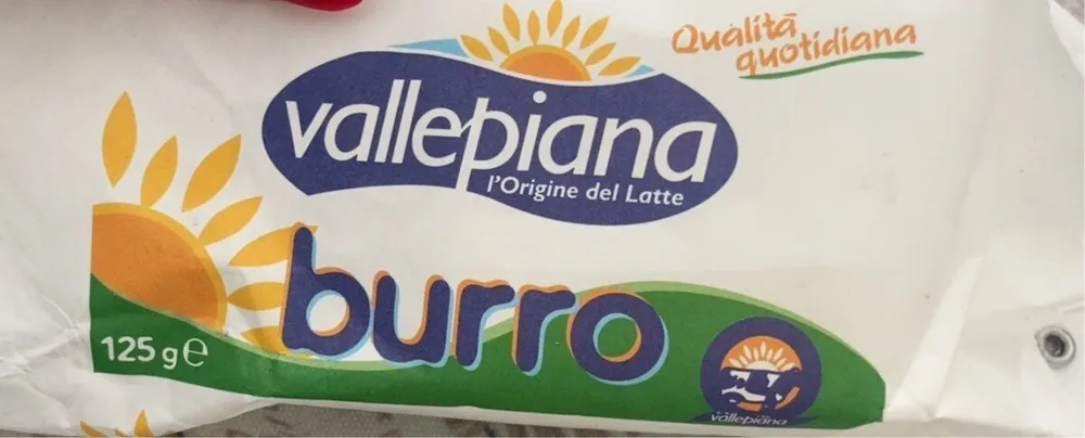 Burro