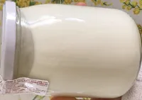Yogurt naturale