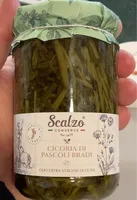 Cicoria di Pascoli Bradi