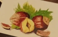 Cacao pregiati